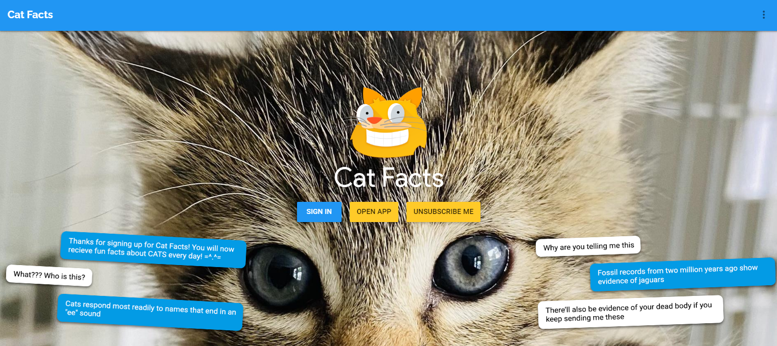 Random Cat Facts: APIs and Automated Emails - Shannon Lo